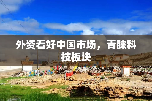 外资看好中国市场，青睐科技板块