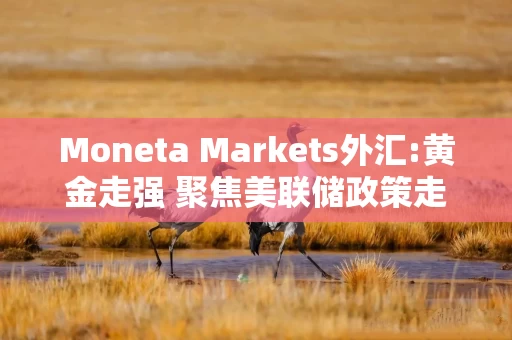 Moneta Markets外汇:黄金走强 聚焦美联储政策走向