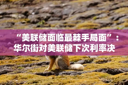 “美联储面临最棘手局面”：华尔街对美联储下次利率决议的看法