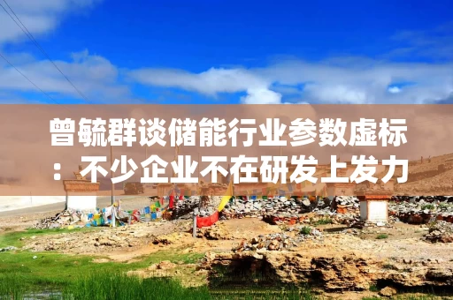 曾毓群谈储能行业参数虚标：不少企业不在研发上发力，一直在产品参数上做文章