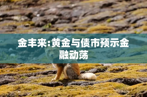 金丰来:黄金与债市预示金融动荡