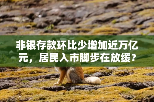 非银存款环比少增加近万亿元，居民入市脚步在放缓？
