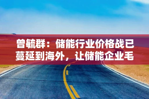 曾毓群：储能行业价格战已蔓延到海外，让储能企业毛利率急速缩水