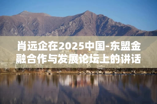 肖远企在2025中国-东盟金融合作与发展论坛上的讲话