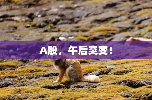 A股，午后突变！