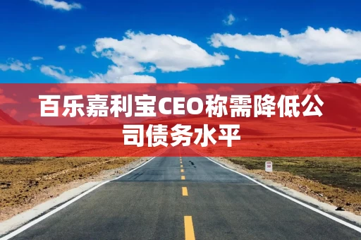 百乐嘉利宝CEO称需降低公司债务水平