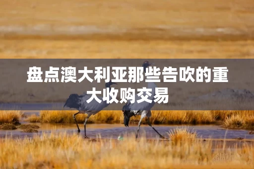 盘点澳大利亚那些告吹的重大收购交易