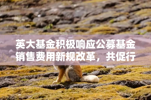 英大基金积极响应公募基金销售费用新规改革，共促行业高质量发展