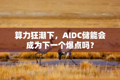 算力狂潮下，AIDC储能会成为下一个爆点吗？