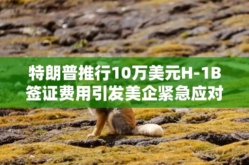 特朗普推行10万美元H-1B签证费用引发美企紧急应对