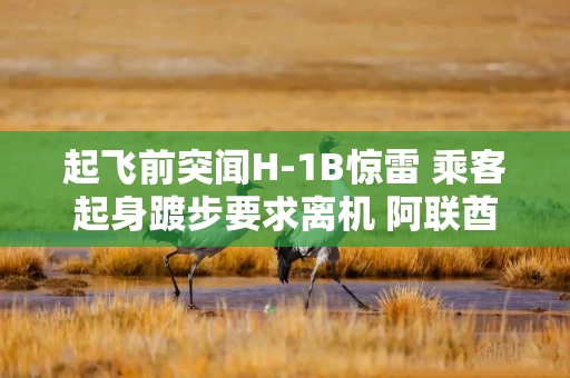 起飞前突闻H-1B惊雷 乘客起身踱步要求离机 阿联酋航空一航班陷混乱