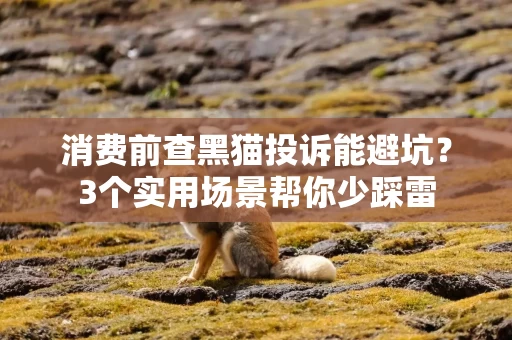 消费前查黑猫投诉能避坑？3个实用场景帮你少踩雷
