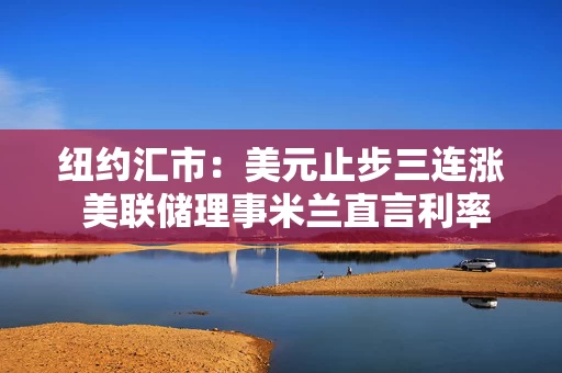 纽约汇市：美元止步三连涨 美联储理事米兰直言利率过高 加元落后