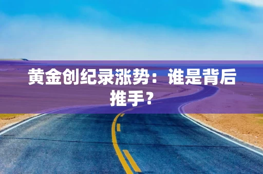 黄金创纪录涨势：谁是背后推手？