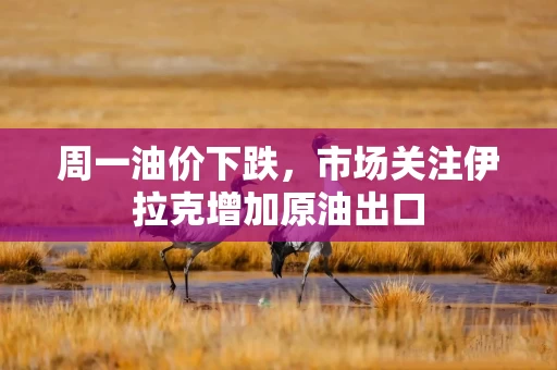 周一油价下跌，市场关注伊拉克增加原油出口