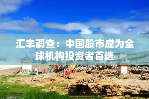 汇丰调查：中国股市成为全球机构投资者首选