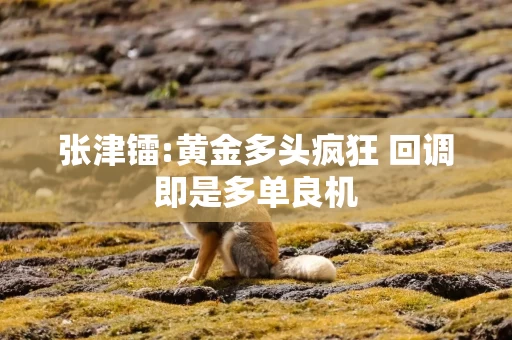 张津镭:黄金多头疯狂 回调即是多单良机