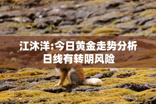 江沐洋:今日黄金走势分析日线有转阴风险