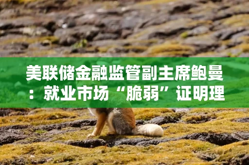 美联储金融监管副主席鲍曼：就业市场“脆弱”证明理应进一步降息