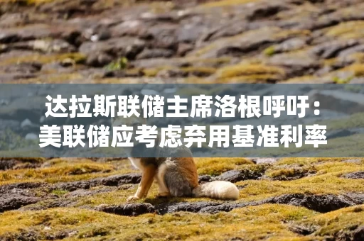 达拉斯联储主席洛根呼吁：美联储应考虑弃用基准利率“古董工具”