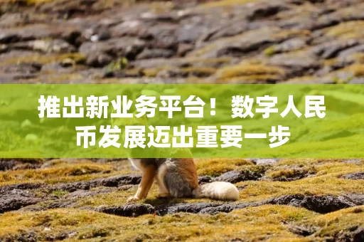 推出新业务平台！数字人民币发展迈出重要一步
