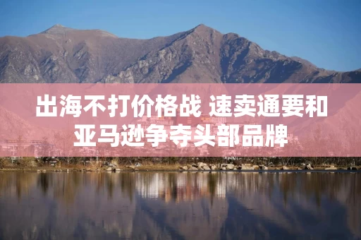 出海不打价格战 速卖通要和亚马逊争夺头部品牌
