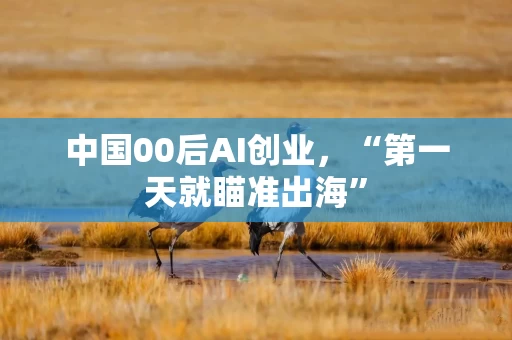 中国00后AI创业，“第一天就瞄准出海”