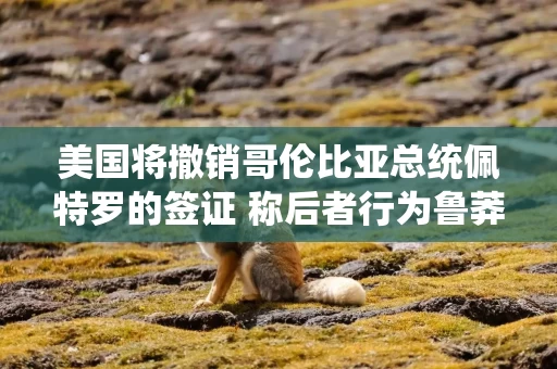 美国将撤销哥伦比亚总统佩特罗的签证 称后者行为鲁莽且煽动暴力
