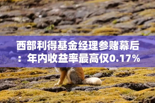 西部利得基金经理参赌幕后：年内收益率最高仅0.17% 在管产品仍未官宣换将