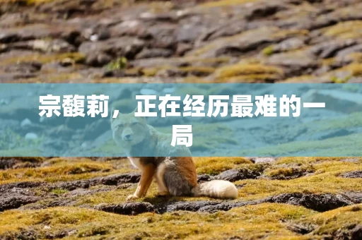 宗馥莉，正在经历最难的一局