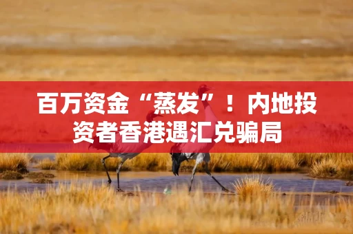 百万资金“蒸发”！内地投资者香港遇汇兑骗局