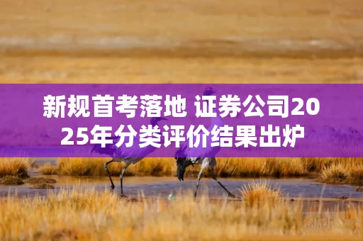 新规首考落地 证券公司2025年分类评价结果出炉