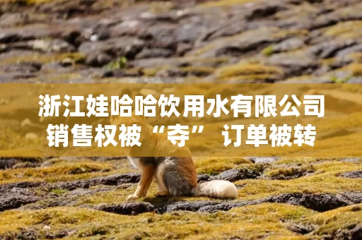 浙江娃哈哈饮用水有限公司销售权被“夺” 订单被转至宏胜饮料孙公司