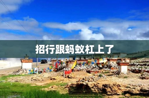 招行跟蚂蚁杠上了