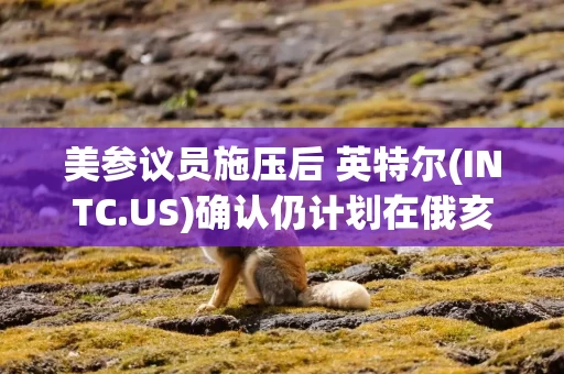 美参议员施压后 英特尔(INTC.US)确认仍计划在俄亥俄州建厂