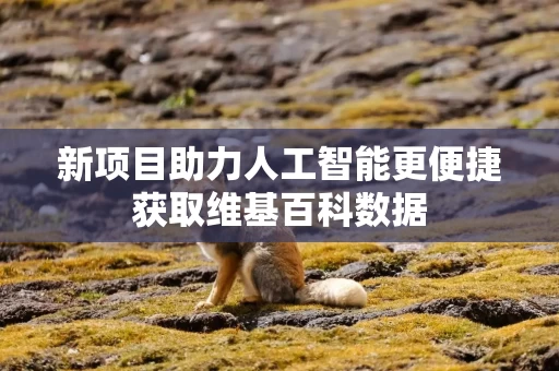 新项目助力人工智能更便捷获取维基百科数据