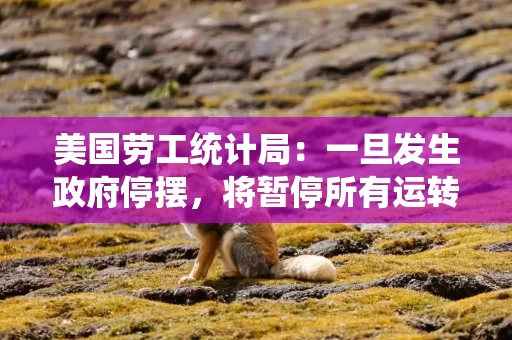 美国劳工统计局：一旦发生政府停摆，将暂停所有运转，期间不会发布经济数据