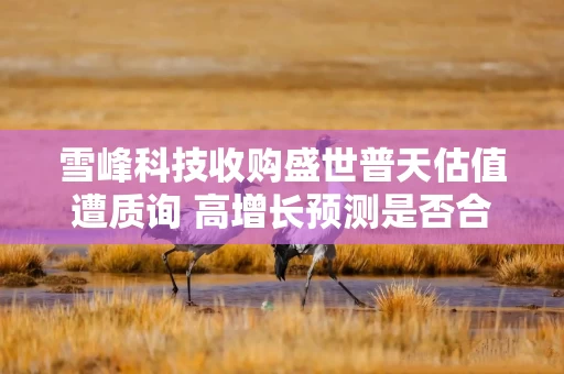 雪峰科技收购盛世普天估值遭质询 高增长预测是否合理