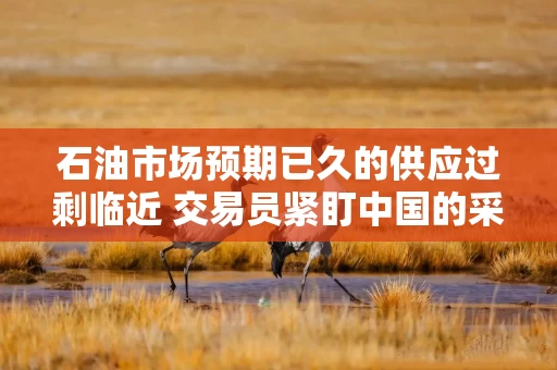 石油市场预期已久的供应过剩临近 交易员紧盯中国的采购动向