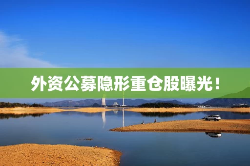 外资公募隐形重仓股曝光！