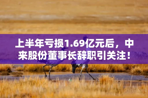 上半年亏损1.69亿元后，中来股份董事长辞职引关注！公司回应：与业绩情况无关