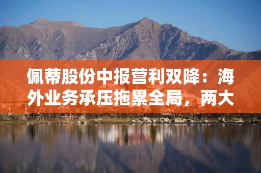 佩蒂股份中报营利双降：海外业务承压拖累全局，两大募投项目宣布延期