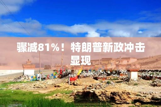 骤减81%！特朗普新政冲击显现