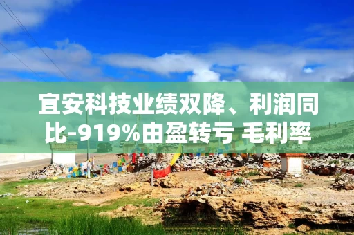 宜安科技业绩双降、利润同比-919%由盈转亏 毛利率持续下滑