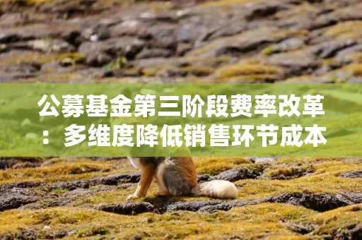 公募基金第三阶段费率改革：多维度降低销售环节成本，引导投资者长期投资