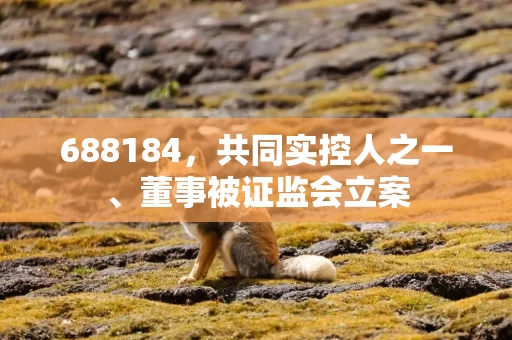 688184，共同实控人之一、董事被证监会立案