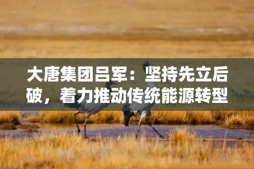 大唐集团吕军：坚持先立后破，着力推动传统能源转型升级