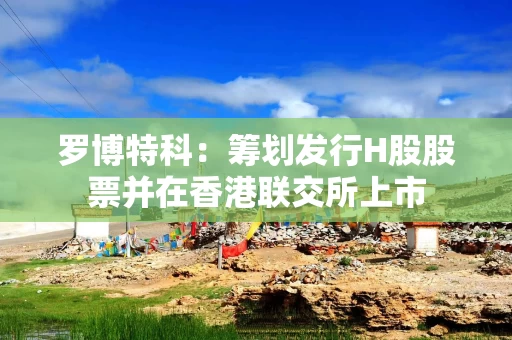 罗博特科：筹划发行H股股票并在香港联交所上市