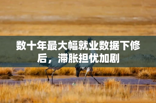 数十年最大幅就业数据下修后，滞胀担忧加剧