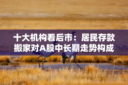 十大机构看后市：居民存款搬家对A股中长期走势构成强劲支撑，中线行情健康向上，短线波动仍未结束